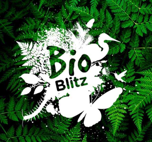 Bruce Trail Spring Bioblitz